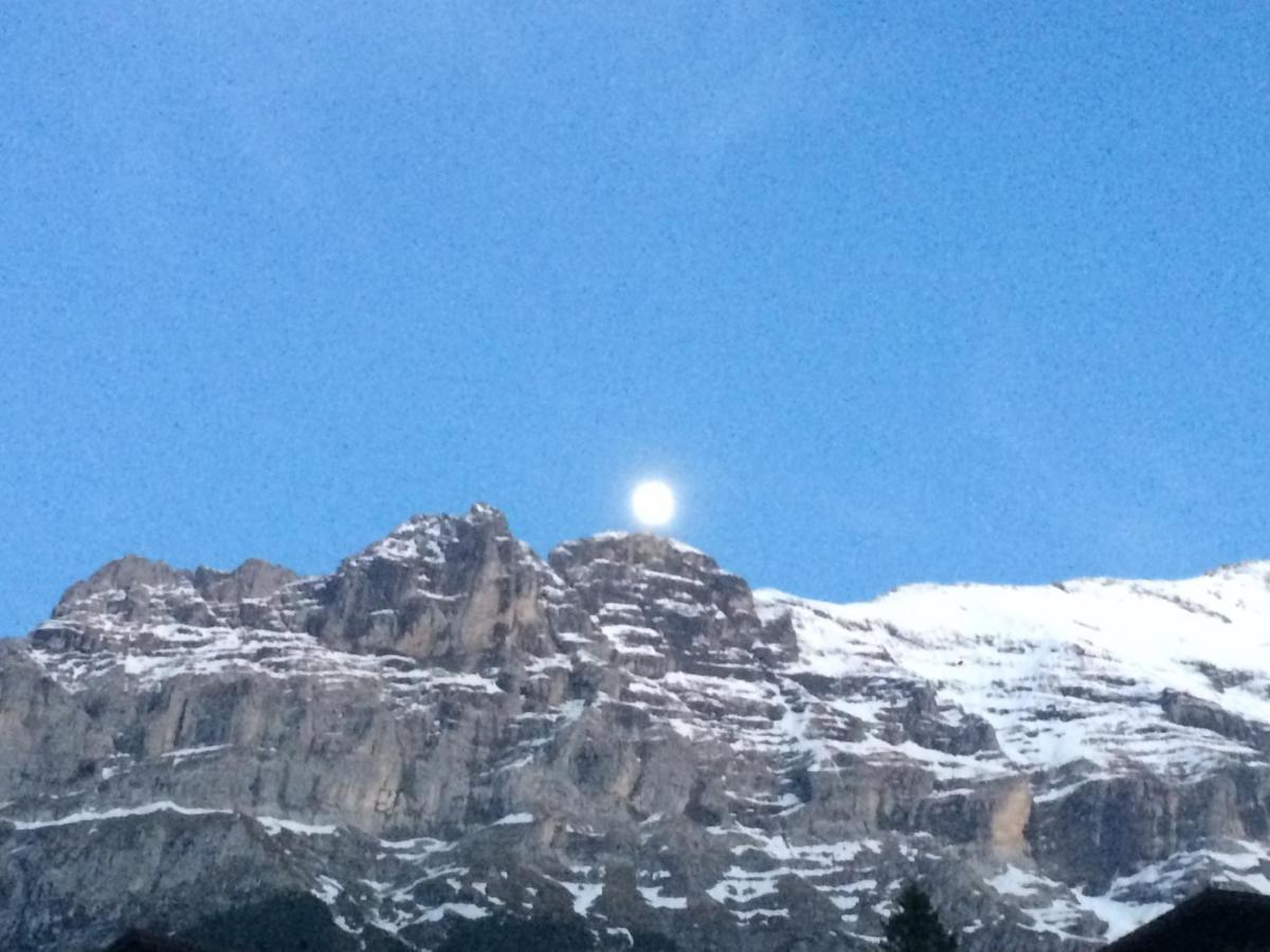 Luxury, New - Amazing Views Grindelwald Eiger Jungfrau Moench Apartment Exterior foto