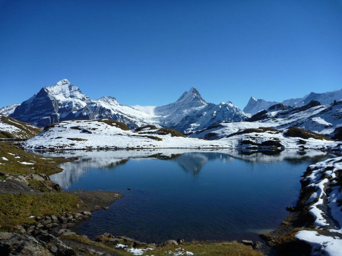 Luxury, New - Amazing Views Grindelwald Eiger Jungfrau Moench Apartment Exterior foto